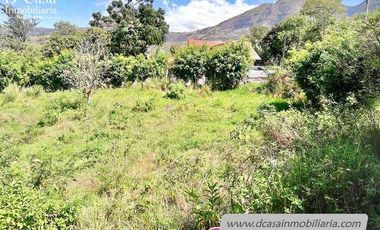 Terreno de Venta – Yunguilla – Guanábana – 3000m2* (100* frente x 30m2* fondo) (T-157)