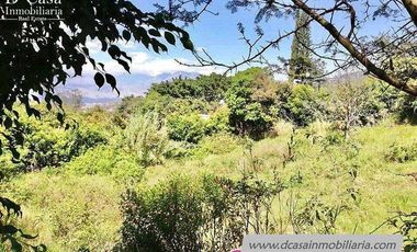 Terreno de Venta – Yunguilla – Guanábana – 3000m2* (100* frente x 30m2* fondo) (T-157)