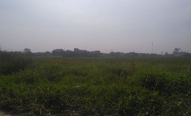 3 Ha Tanah Sawah Area Perumahan, Sangkanhurip, Katapang, Kabupaten Bandung
