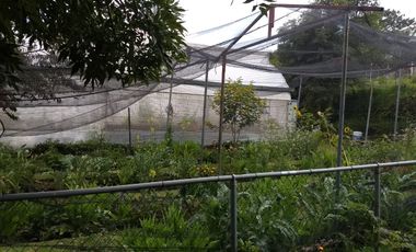 Casa en Magdalena Petlacalco, Tlalpan