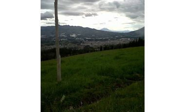 FINCA DE 40 HAS PARA GANADERA O AGRICULTURA DE ROSAS EN CAYAMBE