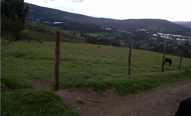 FINCA DE 40 HAS PARA GANADERA O AGRICULTURA DE ROSAS EN CAYAMBE