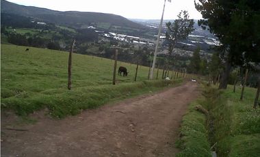 FINCA DE 40 HAS PARA GANADERA O AGRICULTURA DE ROSAS EN CAYAMBE