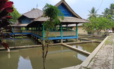 DIJUAL RESTAURANT LAHAN KOMERSIAL DI CIANJUR