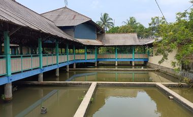 DIJUAL RESTAURANT LAHAN KOMERSIAL DI CIANJUR