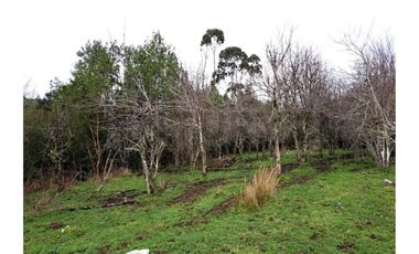 Oportunidad Terreno Agricola en Potrerillos