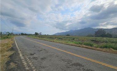 Se vende finca de 80 hectáreas en Torti, Darién