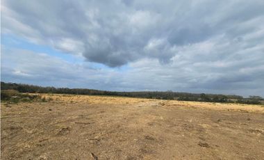 Se vende finca de 80 hectáreas en Torti, Darién