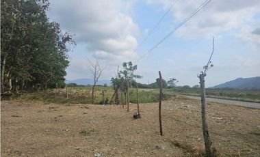 Se vende finca de 80 hectáreas en Torti, Darién