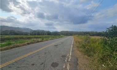 Se vende finca de 80 hectáreas en Torti, Darién