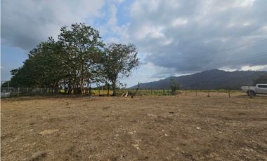 Se vende finca de 80 hectáreas en Torti, Darién