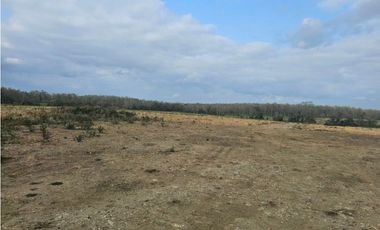 Se vende finca de 80 hectáreas en Torti, Darién