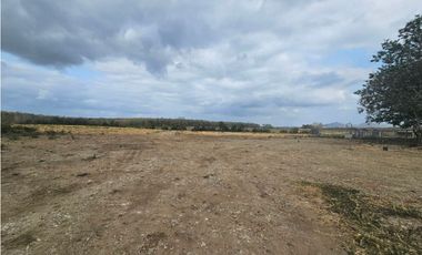 Se vende finca de 80 hectáreas en Torti, Darién