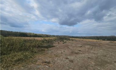 Se vende finca de 80 hectáreas en Torti, Darién