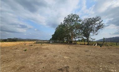 Se vende finca de 80 hectáreas en Torti, Darién