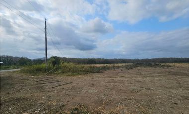 Se vende finca de 80 hectáreas en Torti, Darién