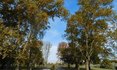 Flores Prop. - Vende último excelente lote en Prados del Oeste - Moreno