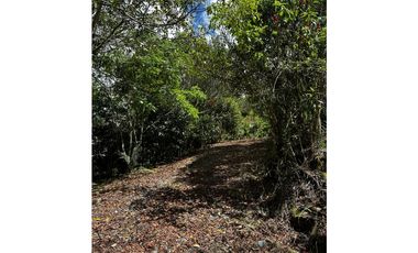 Venta de lote en Alto de Palmas