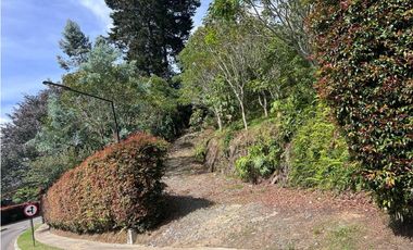 Venta de lote en Alto de Palmas