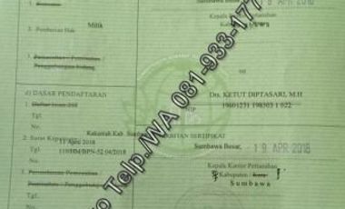 Tanah Tepi Pantai Pasir Putih di Pulau Moyo