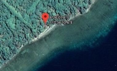 Tanah Tepi Pantai Pasir Putih di Pulau Moyo