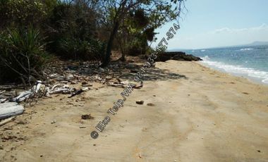 Tanah Tepi Pantai Pasir Putih di Pulau Moyo