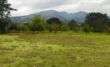 Venta Terreno, Sector Tumbaco Altura  La Morita por Lado de Ruta Viva