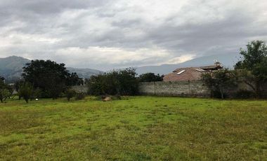 Venta Terreno, Sector Tumbaco Altura  La Morita por Lado de Ruta Viva