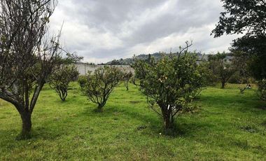 Venta Terreno, Sector Tumbaco Altura  La Morita por Lado de Ruta Viva