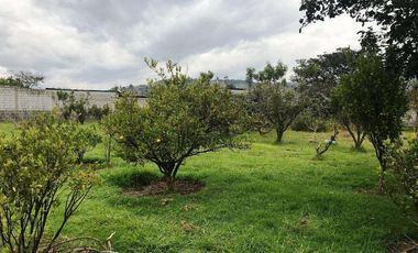 Venta Terreno, Sector Tumbaco Altura  La Morita por Lado de Ruta Viva
