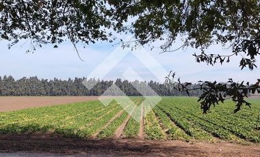 Sitio en Venta en Santa Ester Liray