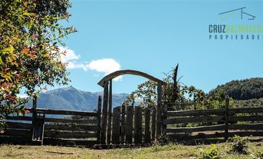 Agrícola en Venta en Campo de 206 hás en Llanada Grande, Sector Lago Las Rocas