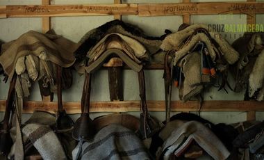 Agrícola en Venta en Campo de 206 hás en Llanada Grande, Sector Lago Las Rocas