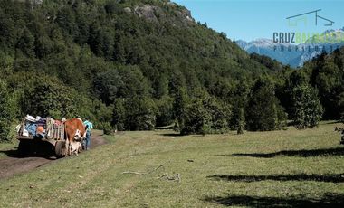 Agrícola en Venta en Campo de 206 hás en Llanada Grande, Sector Lago Las Rocas