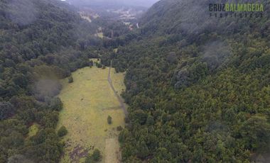 Agrícola en Venta en Campo de 206 hás en Llanada Grande, Sector Lago Las Rocas