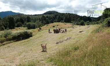 Agrícola en Venta en Campo de 206 hás en Llanada Grande, Sector Lago Las Rocas