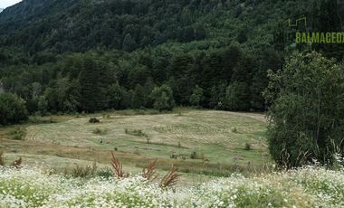 Agrícola en Venta en Campo de 206 hás en Llanada Grande, Sector Lago Las Rocas