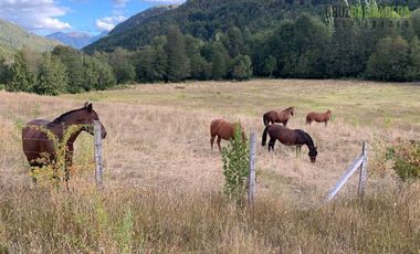 Agrícola en Venta en Campo de 206 hás en Llanada Grande, Sector Lago Las Rocas