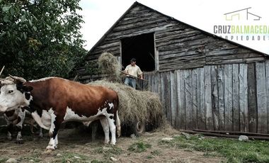 Agrícola en Venta en Campo de 206 hás en Llanada Grande, Sector Lago Las Rocas