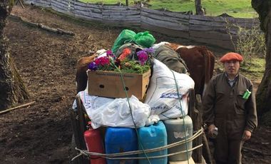 Agrícola en Venta en Campo de 206 hás en Llanada Grande, Sector Lago Las Rocas