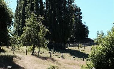 Agrícola en Venta en Campo de 206 hás en Llanada Grande, Sector Lago Las Rocas