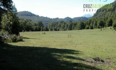 Agrícola en Venta en Campo de 206 hás en Llanada Grande, Sector Lago Las Rocas
