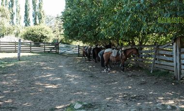Agrícola en Venta en Campo de 206 hás en Llanada Grande, Sector Lago Las Rocas