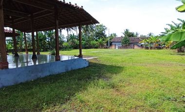 Tanah Pinggir Jalan Lokasi Bagus di Kulonprogo