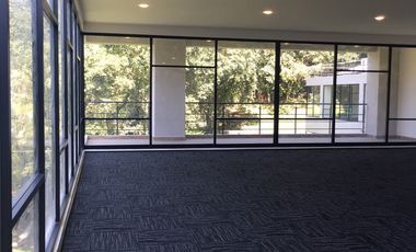 RENTA DEPARTAMENTO DESIERTO DE LOS LEONES