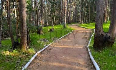 OPORTUNIDAD DEPTO AMOBLADO ALTO LAS CRUCES