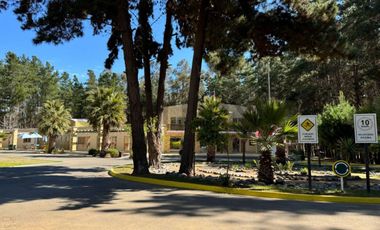 OPORTUNIDAD DEPTO AMOBLADO ALTO LAS CRUCES