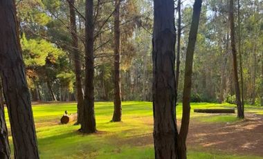 OPORTUNIDAD DEPTO AMOBLADO ALTO LAS CRUCES