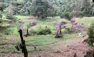 finca en venta en puente pelaez. Cod V400176