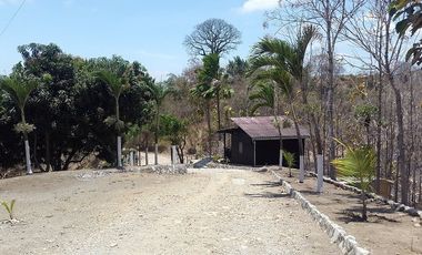 Via a la Costa km 22, vendo Finca Urbana, 3.43 Ha, Guayaquil, cerca Peaje y Chongón, con cultivo de árboles de Teca y frutales.